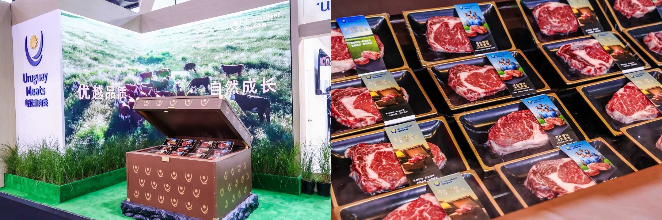 “舌尖好味 天生圭宝”上线半年：乌拉圭牛肉如何用一只“宝箱”抢占中国高端餐桌